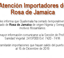 Atención Importadores de Rosa de Jamaica