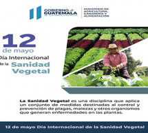 Día Internacional de la Sanidad Vegetal