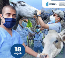 Día del Médico Veterinario, Licenciado en Zootecnia y Licenciado en Acuicultura